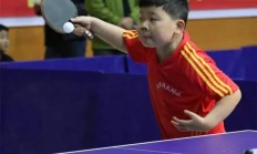 米兰APP下载-业余高手拼杀，比赛扣人心弦的简单介绍