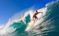 米兰捕鱼-维斯塔潘刷新单季胜场纪录，威廉姆斯轻取雷诺显复苏之势