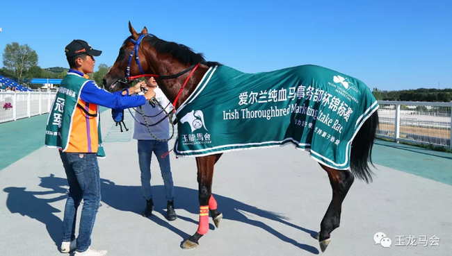 芬兰运动员刷新纪录,斩获桂冠的简单介绍 芬兰运动员刷新纪录,斩获桂冠的简单介绍